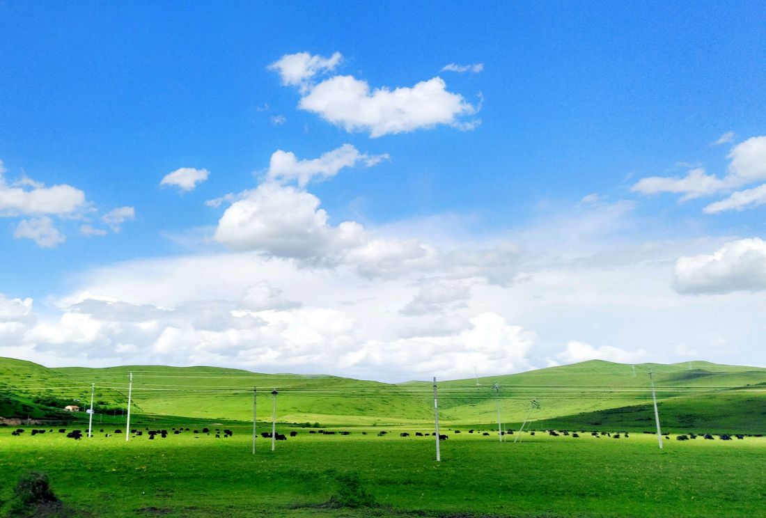 阿坝州